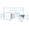 C61 - Code 61 Flange 22° Bent Tube Rigid - C6122-12-16-W