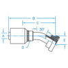 C62 - Code 62 Flange 30° Bent Tube Rigid - C6230-12-16-W