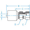 Female British Pipe Straight - K2 - F-BSPX-04-02-K2