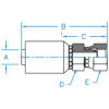 Din Heavy 24º Seat Female Swivel With O-Ring - F-DH24-38-52-JJ