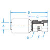 Din Heavy 24º Seat Female Swivel With O-Ring - F-DH12-25-36-WHP