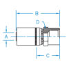 FP - NPTF Female Pipe Rigid - FP-04-04