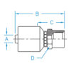 FP - NPTF Female Pipe Rigid -K2 - FP-04-06-K2