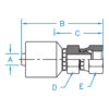 FPX - NPSM Female Pipe Swivel - FPX-06-06-W