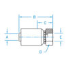 FW - Female Weld Fitting Rigid - FW-06-06-W