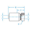 FW - Female Weld Fitting Rigid - FW-12-16-WHP