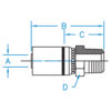 Male British Standard Pipe 60° Cone Rigid - M-BSPT-04-04