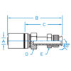 45° SAE Male Inverted Flare - MIX-04-04-R5