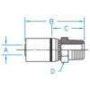 MP - Male Pipe NPTF Rigid - MP-04-02-R7