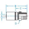 Male Pipe NPTF Rigid - MP-03-04-SST