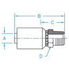 Male Pipe NPTF Rigid - MP-16-16-WHP